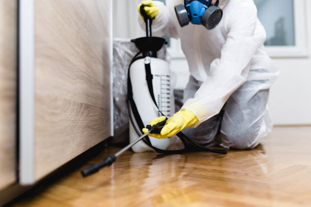 Best Local Pest Control Services  in Pinetops, NC