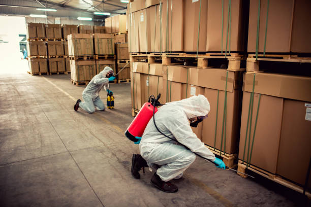 Best Pest Removal Services  in Pinetops, NC