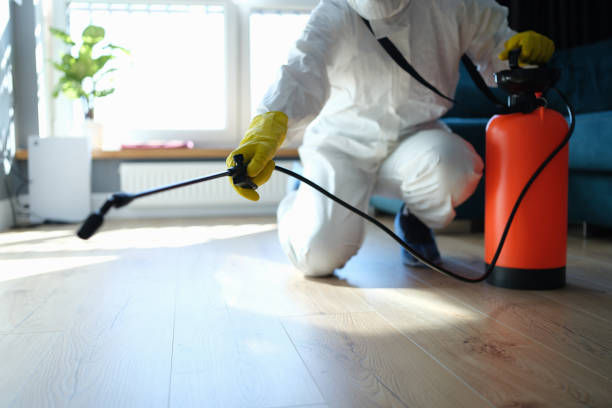 Best Best Pest Control Companies  in Pinetops, NC