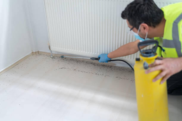 Best Affordable Pest Control Services  in Pinetops, NC