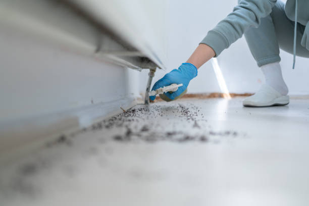 Pinetops, NC Pest Control Company